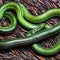 A slimy and wriggly texture with writhing snakes and worms2, Generative AI