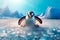 Slip and Slide: Penguin\\\'s Icy Adventure