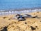 Slippers on sand beach under sunlight