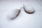 Slippers in snow