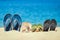 A Slippers of the whole family in the sand by the sea on nature while traveling. Rest by the water on vacation with shoes
