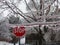 slippery icy road with STOP sign in red and white. thick ice covered tree branches. winter scene