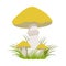 Slippery jack, suillus luteus, edible forest mushrooms. Colorful cartoon illustration