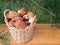 Slippery jacks mushrooms in the basket under pine tree