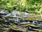 Slippery rocks cascading down the river