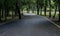 Slippery umbrella of public park in railway park Which railway Park is A very large park in Bangkok of Thailand which Is the