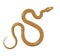 Slither Brown Python Snake Top View Vector Icon