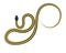 Slither Ribbon or Garter Snake Vector Icon