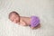 Slleeping Newborn Baby Girl Wearing Purple Bloomers