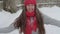 slo-mo authentic cute happy beautiful young woman with long flowing hair in red hat and scarf looking at camera with