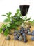 Sloe fruits wine