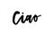 Slogan Ciao phrase graphic vector Print Fashion lettering calligraphy