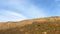 The slope of a clay hill against the backdrop of a beautiful blue sky. Lifeless soil. Sunny weather. Landscape