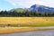 Slope Mountain Lake Clark Alaska Brown Bears