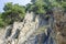 Slope with vertically lying layers of limestone, overgrown with