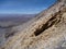 Slopes around volcano isluga at chilean altiplano