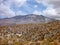 Slopes around volcano isluga at chilean altiplano