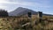 On the slopes of moel siabod snowdonia north wales