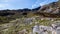 On the slopes of moel siabod snowdonia north wales