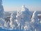 Slopes of ski-resort Ruka Finland