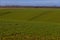 Sloping agricultural fields near Maastricht till the where the border is between the Netherlands and Belgium