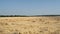 Sloping field of wheat in the autumn