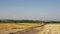 Sloping field of wheat and the road