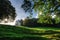 Sloping meadow with overhanging trees