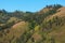 Sloping mountain landscape with grasses and trees on a sunny day