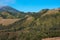 Sloping mountain landscape with grasses and trees on a sunny day