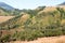 Sloping mountain landscape with grasses and trees on a sunny day