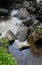 Sloping river with rocks and plants in clear water