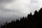 Sloping treeline in silhouette against a cloudy sky, Great Smoky Mountains