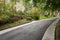 Slopy asphalt road in blossoming spring