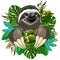 Sloth Cute Cartoon on Tropical Nature