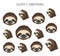 Sloth face emotions collection. Funny cartoon animals