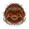 Sloth. Head, face, portrait. Brown fur. Cartoon style. Animal smiles