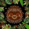 Sloth. Head, face, portrait. Brown fur. Cartoon style. Animal smiles. Frame of jungle leaves