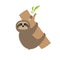 Sloth hugs tree branch. Cute cartoon character.