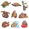 Sloth icons set, cartoon style