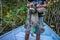 Sloth with a local boy in the Amazon Rainforest, Manaos, Brazil