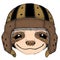 Sloth portrait. Rugby leather helmet. Face of cute animal.