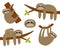 Sloth set. Hanging on tree branch leaf. Cute cartoon kawaii funny lazy character. Mother and baby. Wild joungle animal collection