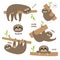 Sloth set mother with baby. Cute lazy cartoon kawaii character. Fluffy fur. Slow down text. Tree branch Wild joungle animal collec