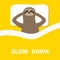 Sloth sleeping. Cant sleep going to bed concept. Slow down. Blanket pillow. Cute cartoon funny kawaii lazy character. Baby