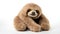 sloth Soft toy on a white background, cut