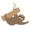 Sloth. Tree branch Cute cartoon character. Fluffy fur. Wild joungle animal collection. Baby education. Isolated. White background.