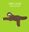 Sloth yoga collection. Funny cartoon animals in different postures set