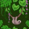 Sloths and Tropical Plants Seamless Pattern, Exotic Birds Rainforest Tropical Leaves Repeated Pattern Backround