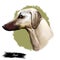 Sloughi dog hound originated from Africa digital art. Watercolor portrait of African pet with short haired coat, doggy